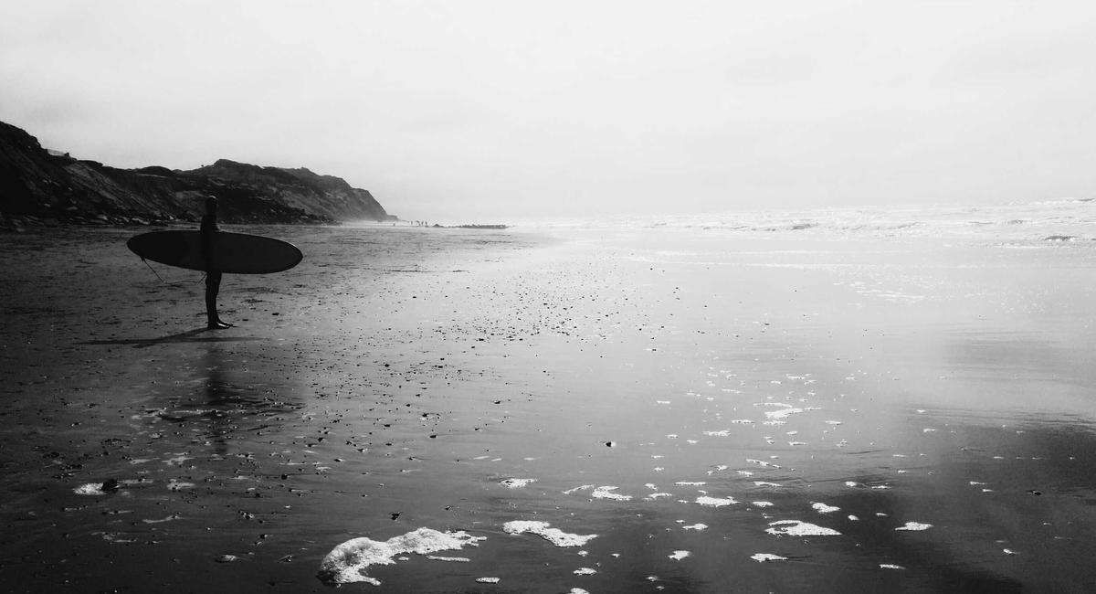 8K Night Vision Wildlife