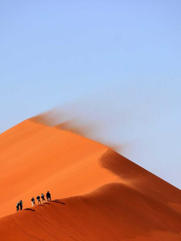 Apothecary botanical photography style