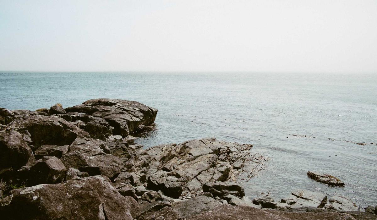 Predictive Analytics in Tech