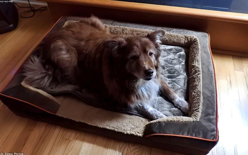 Chụp ảnh phòng homestay đẹp