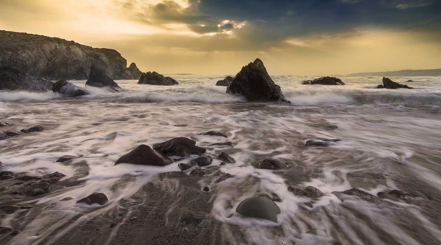 Phân tích di truyền thể hình