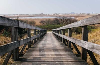 Kính AR Đời Mới