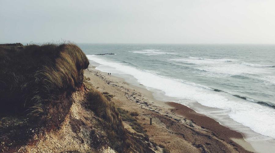 Công nghệ chip thần kinh 2026