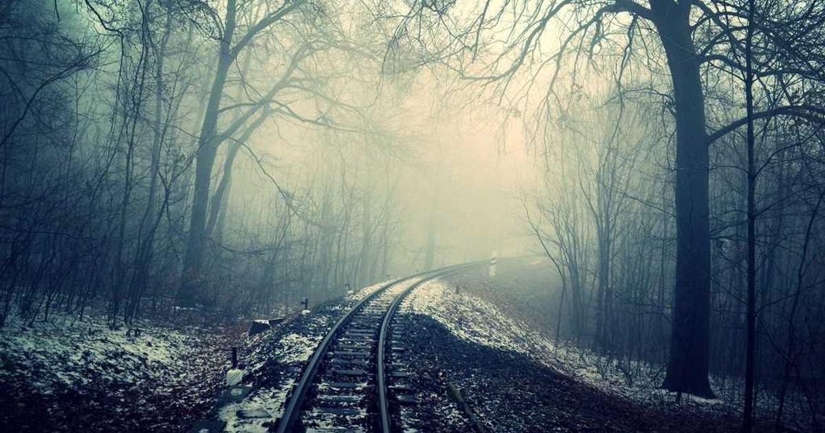 Phát hiện loài lan hài đặc hữu mới tại Lâm Đồng: Chỉ còn dưới 50 cá thể ngoài tự nhiên