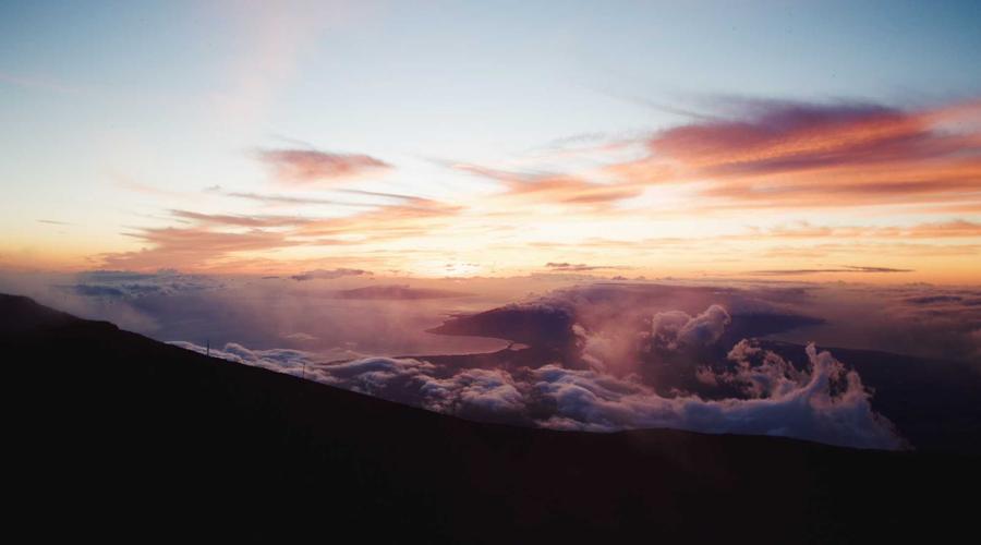 Công nghệ lọc không khí bằng thực vật