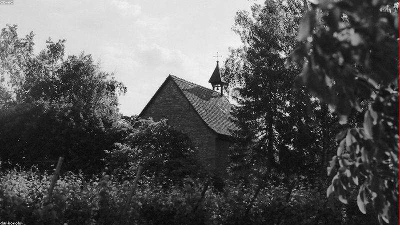 Hạnh phúc khi đón con chào đời