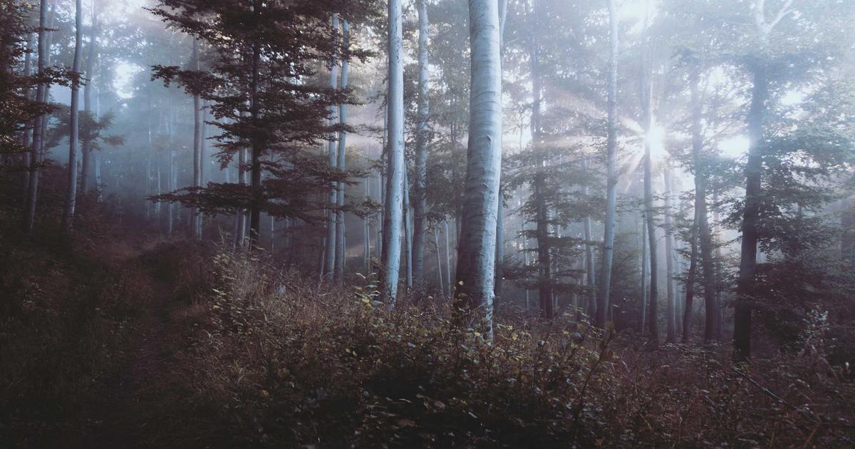 Báo cáo 2024: 72% doanh nghiệp công nghệ tại Việt Nam chuyển sang mô hình Remote-First để giữ chân nhân tài