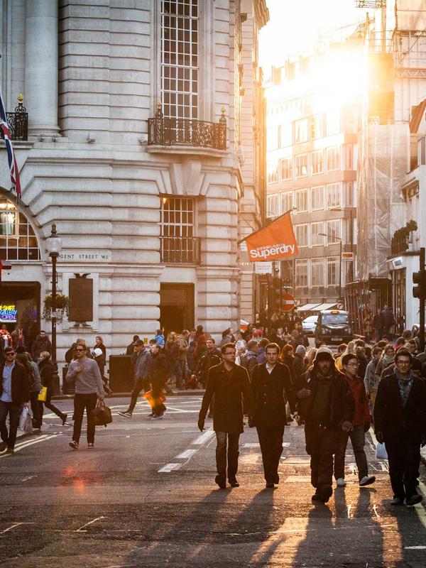 Di sản Gỗ Sưa 2026