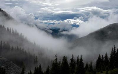 Digital Bank Project