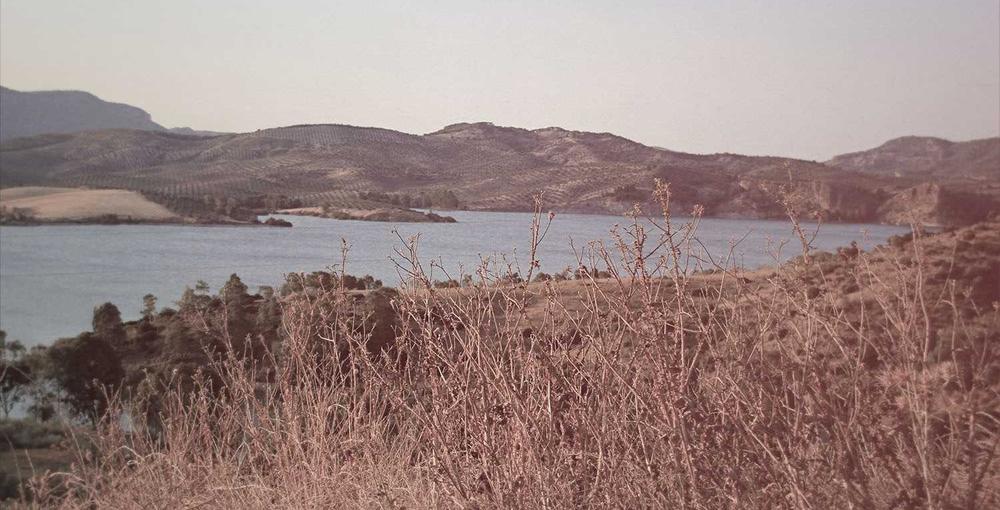 Skin treatment clinic 2026