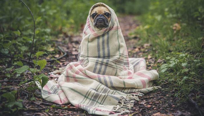 Inner sleeve preservation