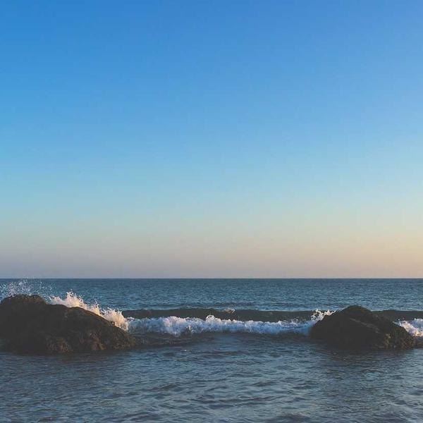 Cấu trúc tế bào dưới tác động công nghệ 123