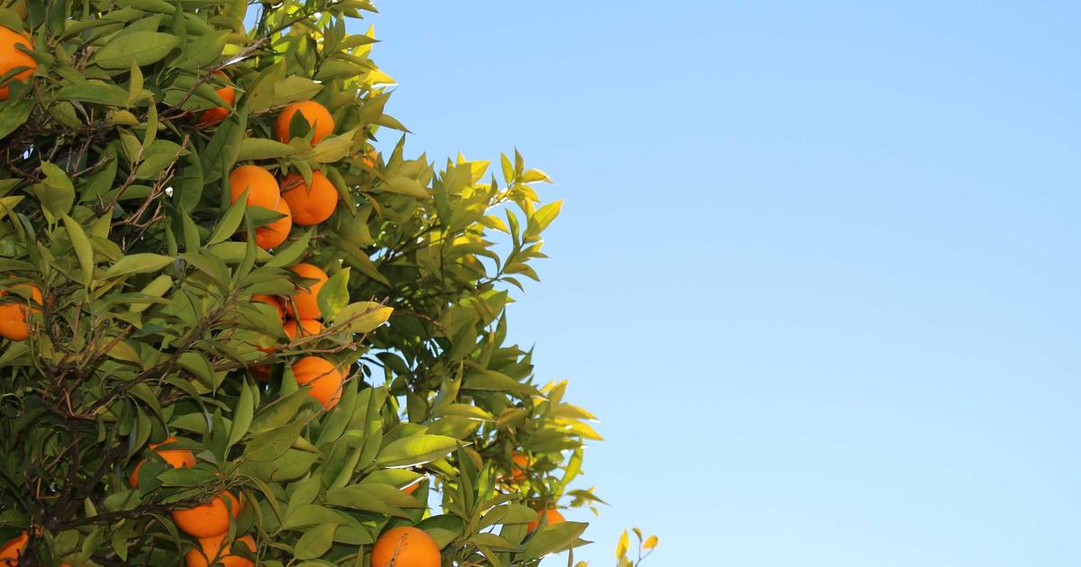 Phân tích ưu điểm của sơn gel: Tại sao phái đẹp luôn ưu tiên vẽ nail nghệ thuật?