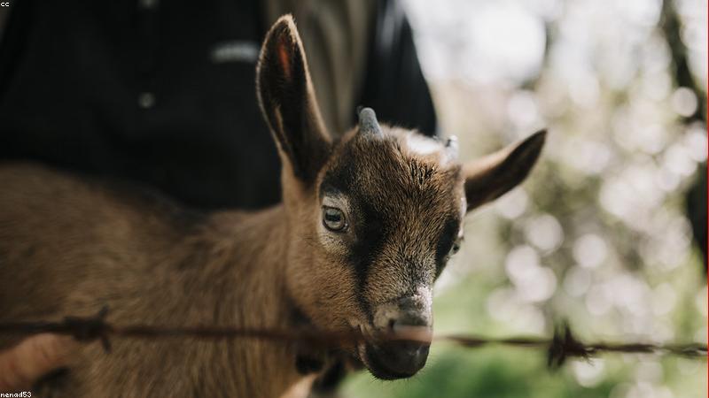 Nông nghiệp sạch bền vững 2024