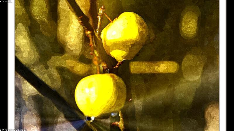 Quang cảnh tiệc cưới