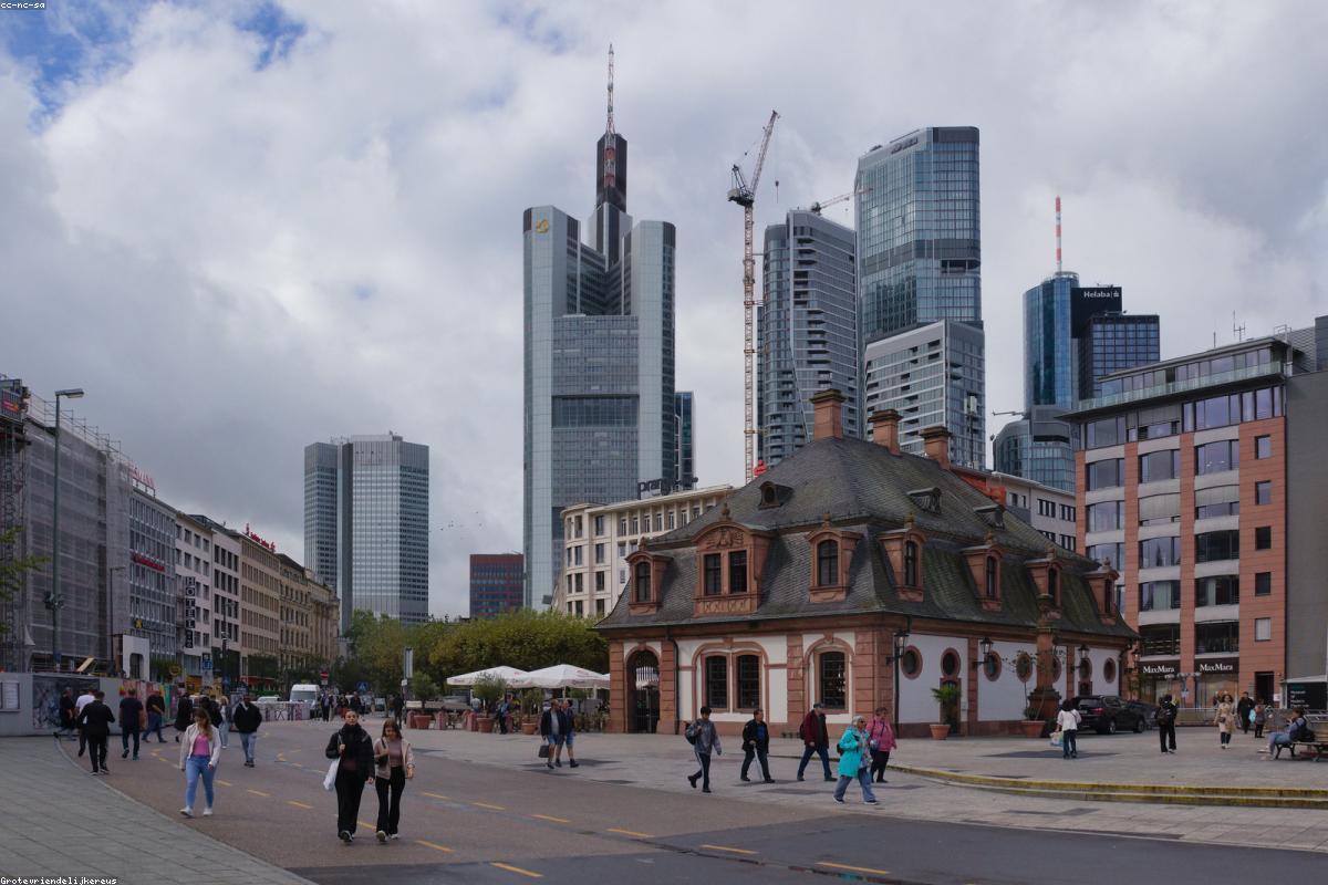 Wedding Planner Professional Work