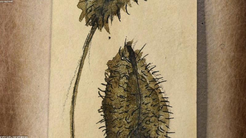 Nông trại hữu cơ cao cấp