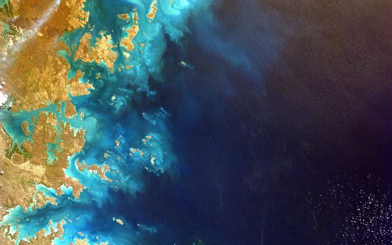 Thiết kế nhẫn cưới tối giản