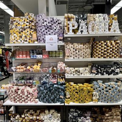 Nấm Linh Chi Nguyên Tai