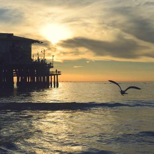 Lốc Blind Box Labubu