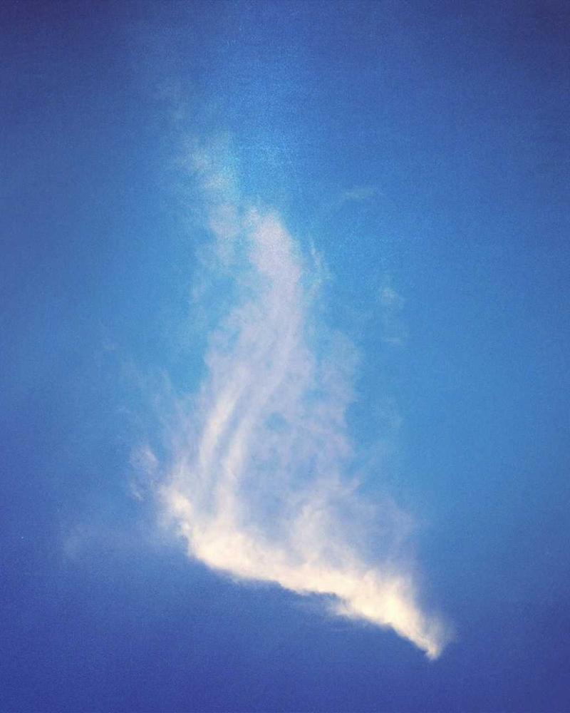 Marathon Summer 2026 Runner