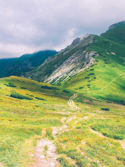 Quần Tây Ống Suông