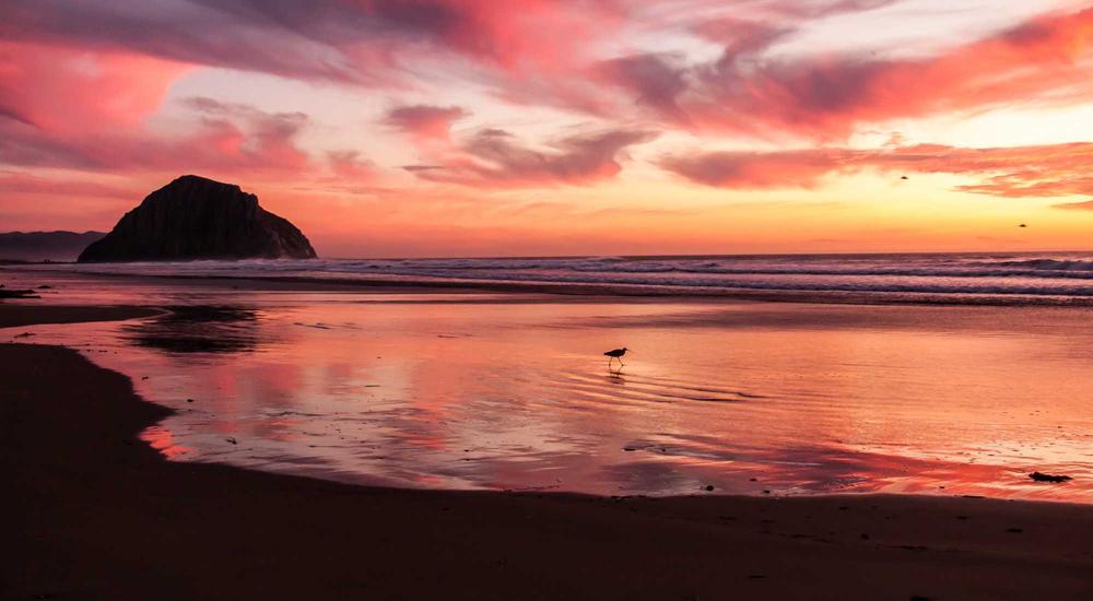 Autonomous Financial Engine