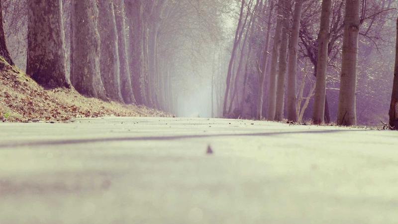 Bé tương tác với bò sữa