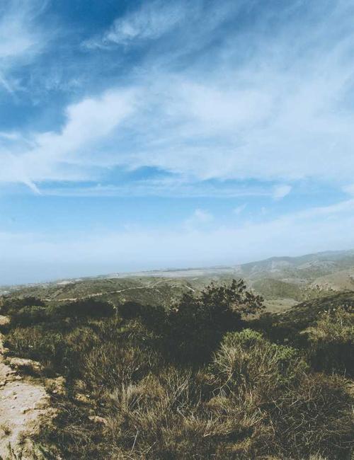 Shape-shifting workflow