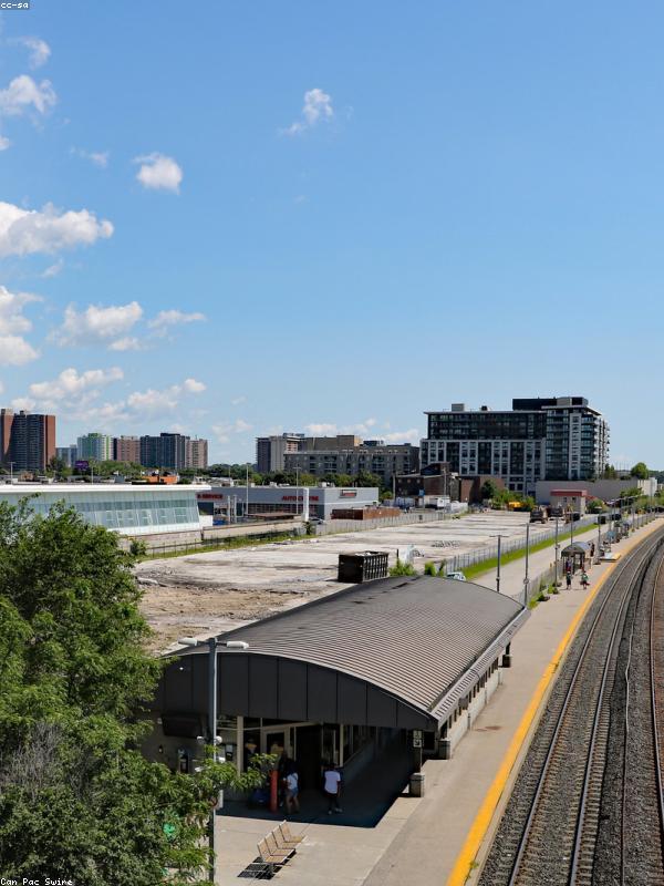 Kết quả sau khi nhuộm 2