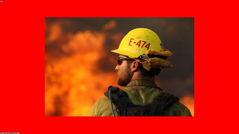 Công nghệ AI trong thiết kế website