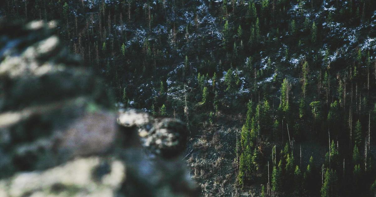 Xu hướng thiết kế website bằng AI 2024: BrandBoost và kỷ nguyên tự động hóa toàn diện