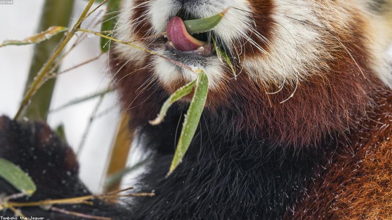 Công nghệ nhận diện khuôn mặt