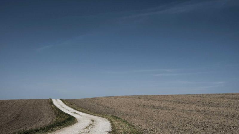 Công nghệ AI trong Digital Marketing