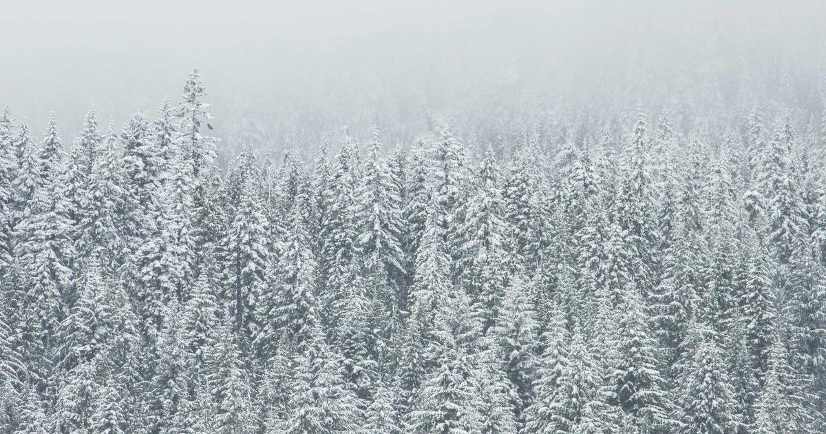 Apple chính thức mở bán iPhone 16 tại VN: Kỷ lục 10.000 đơn hàng sau 1 giờ