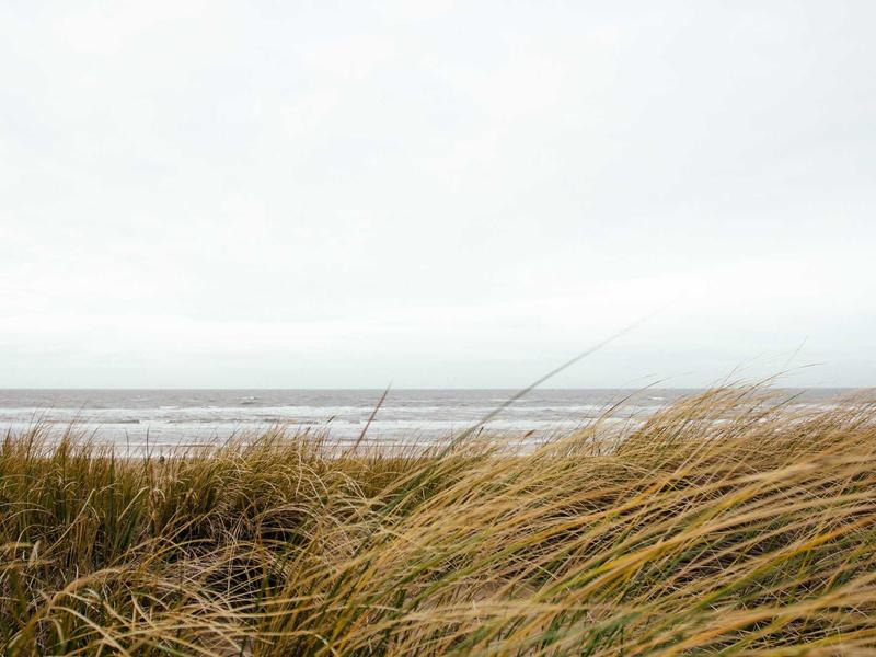 Dịch vụ tận tâm