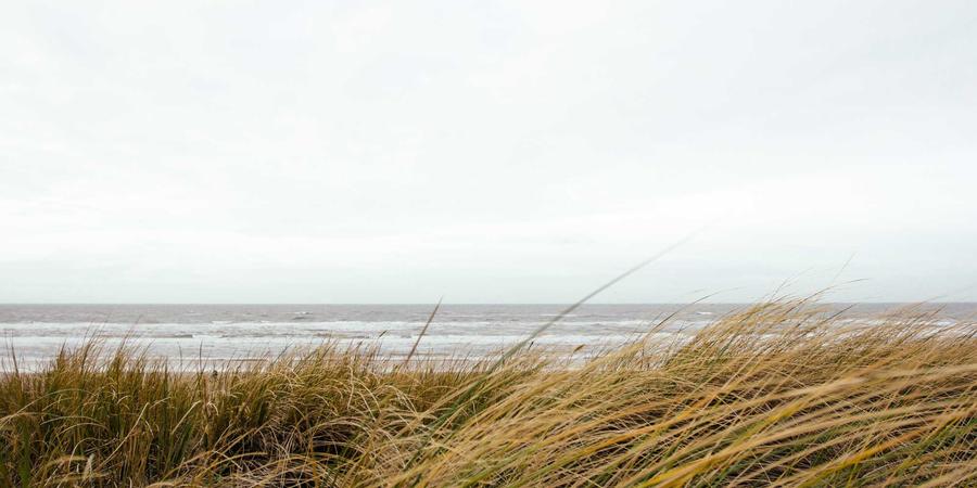 Dev coding blockchain