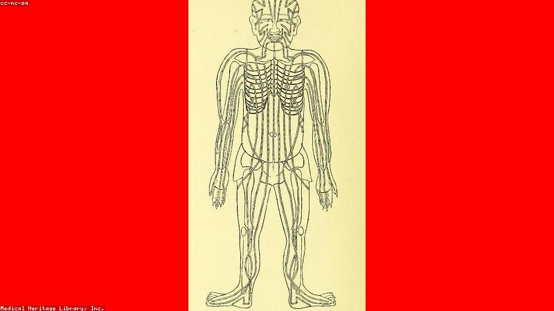 Thảo dược Đông y trị mất ngủ
