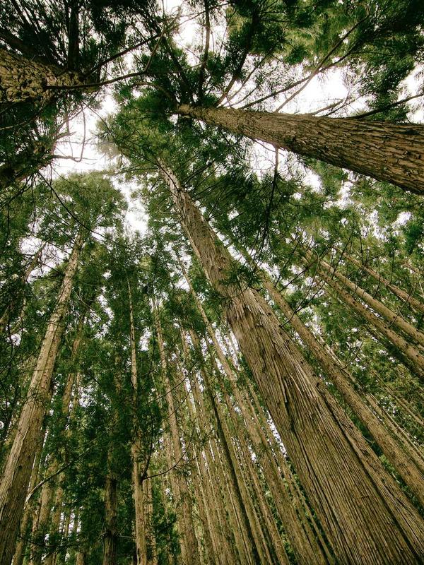 Phòng trưng bày hologram