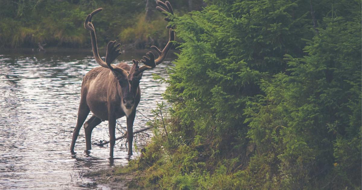 Hướng dẫn cách phối vest chú rể và phụ kiện cưới chuẩn quý ông thượng lưu