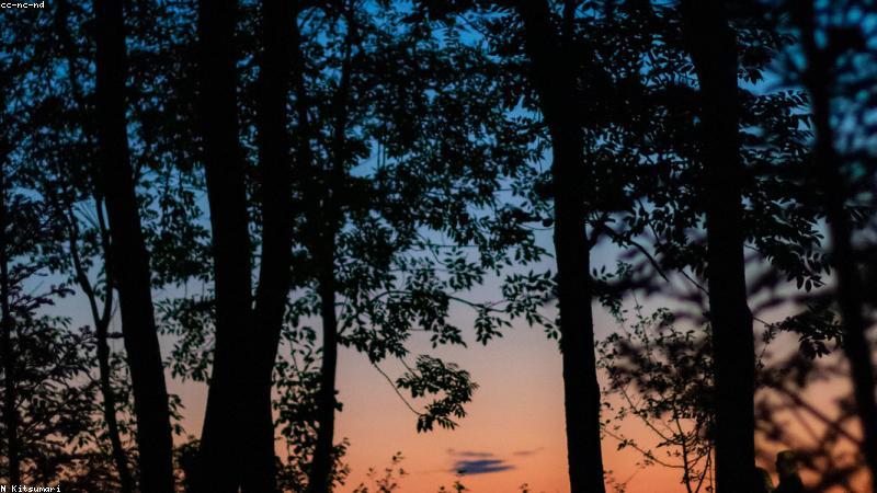 Tech-driven indoor gardening