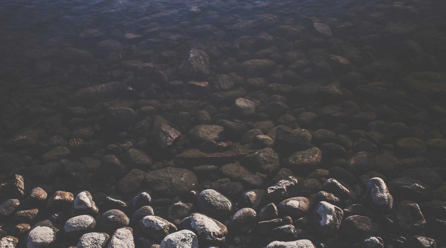 Món ăn cao cấp từ thịt nuôi cấy