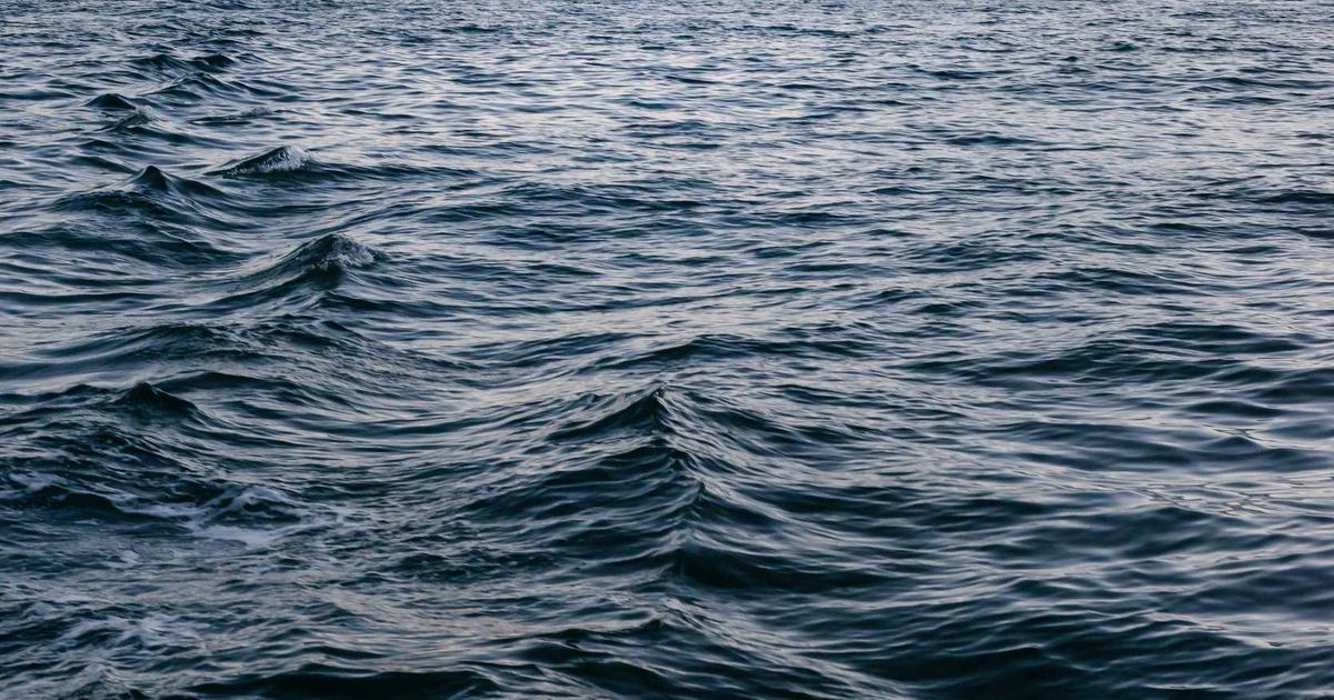 Top 5 Xu Hướng Kem Gelato Độc Đáo Năm 2024 Tại Rainbow Ice Cream