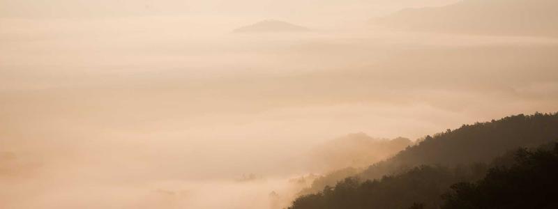 Future AI Trends 2026