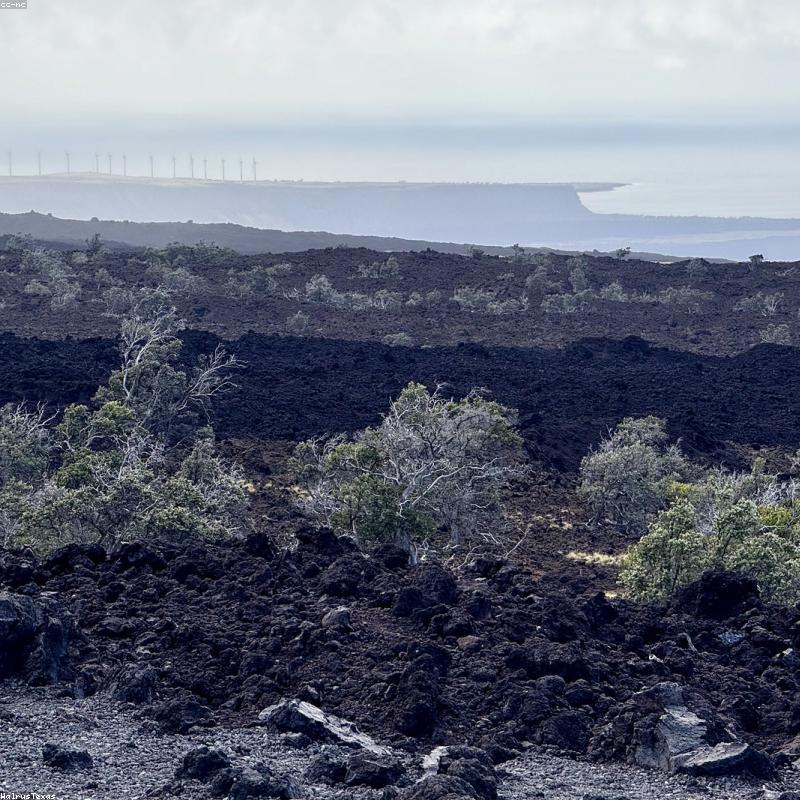 Tẩy tế bào chết body cà phê Đắk Lắk