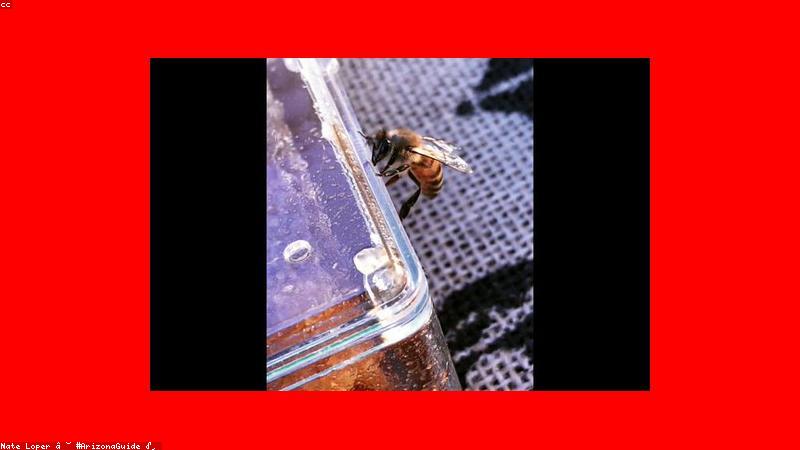 Bộ sưu tập nước hoa niche cao cấp tại PerfumeVault