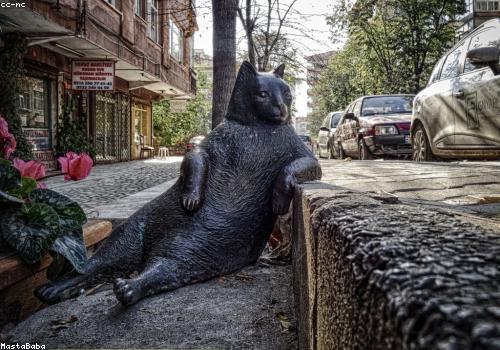 Du thuyền trên biển