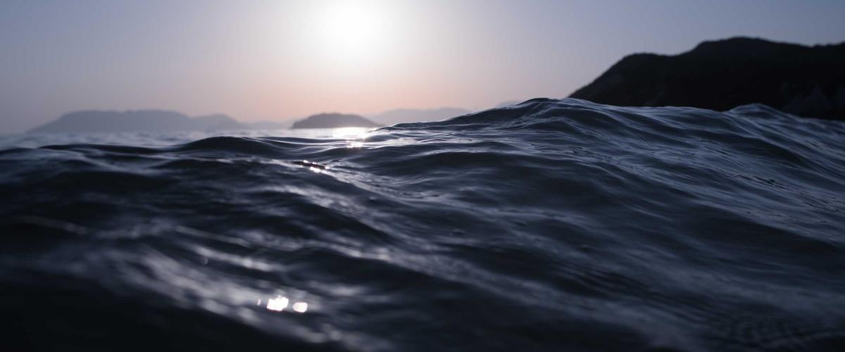 Lãnh đạo đa quốc gia tại Việt Nam 2026