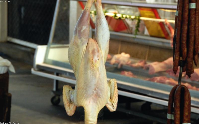 Rau củ tươi xanh