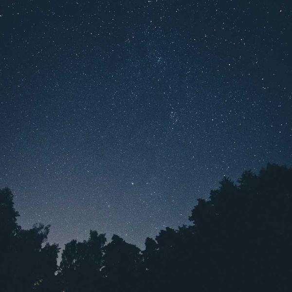 Smartwatch 2026 Interface